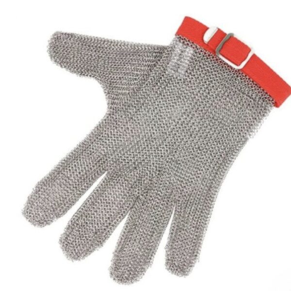 جوانتي ستانلس